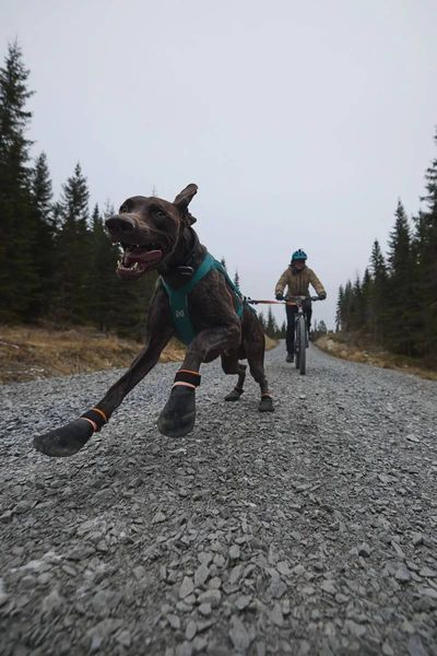 Черевики для собак Protector bootie Non-stop dogwear Чорний/Помаранчевий L 4 Шт. 40329 фото