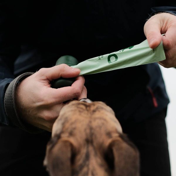 Одноразові пакетики для прибирання за собаками Beco Pets без запаху 270 шт (18 рулонов по 15 шт) 31311 фото