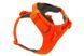 Повседневная шлейка для собак Ruffwear Front Range XXS 33-43 см Оранжевый 41867 фото 1