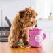 М'яка іграшка для собак кави та пончик ZippyPaws Zippy Burrow Coffee and Donutz з пищалкою 28463 фото 3