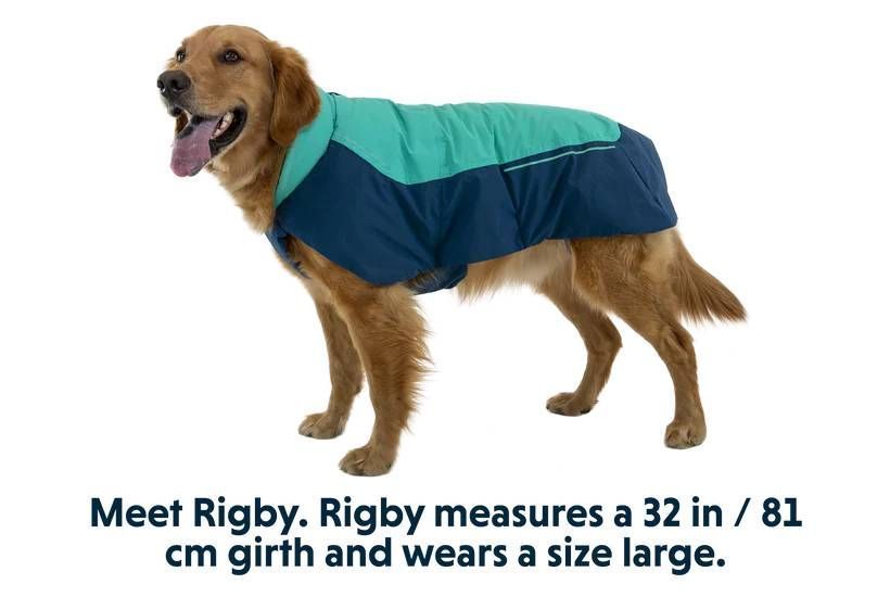 Водонепроникна куртка для собак Ruffwear Vert&trade; XL Бірюзовий 30556 фото
