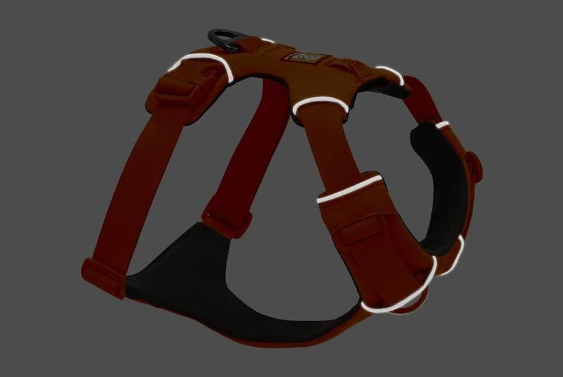 Повседневная шлейка для собак Ruffwear Front Range XXS 33-43 см Оранжевый 41867 фото