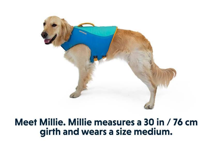 Рятувальний жилет для собак Ruffwear Float Coat&trade; XL Синій 30956 фото