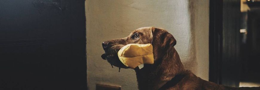 М'яка іграшка для собак з канатиком Beco Pets Кенгуру 40241 фото