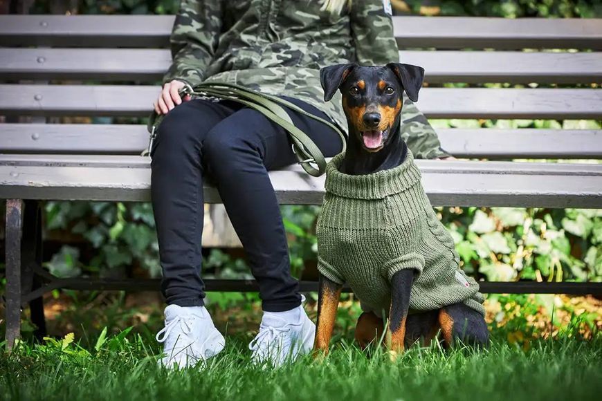 В'язаний светр для собаки Wolters Cable Knit з візерунком коси 35 см Оливковий 28420 фото