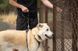 Короткий повідець для собак Ruffwear Front Range&trade; Сірий 30911 фото 6