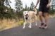 Короткий повідець для собак Ruffwear Front Range&trade; Сірий 30911 фото 8