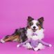 Мягкая игрушка для собак обезьянка ZippyPaws Spencer Crinkle Monkey Purple Small с пищалкой 28510 фото 3