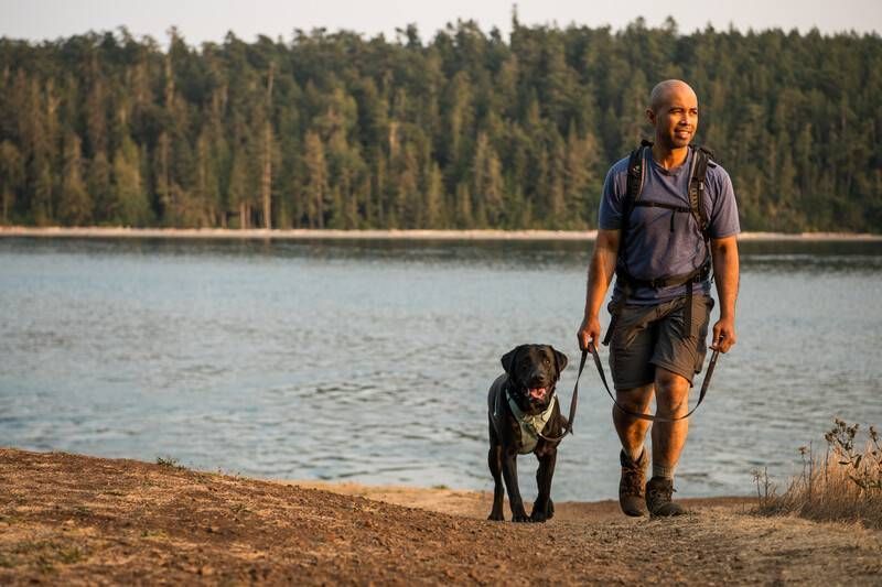 Повсякденна шлейка для собак Ruffwear Front Range&reg; M 69-81 см Зелений 30799 фото