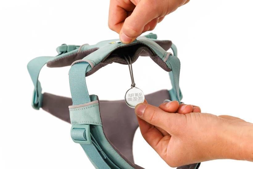 Повсякденна шлейка для собак Ruffwear Front Range&reg; M 69-81 см Зелений 30799 фото