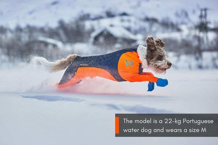 Комбинезон для собак мужского пола Protector snow Non-stop dogwear Черный/Оранжевый 2XS 40865 фото