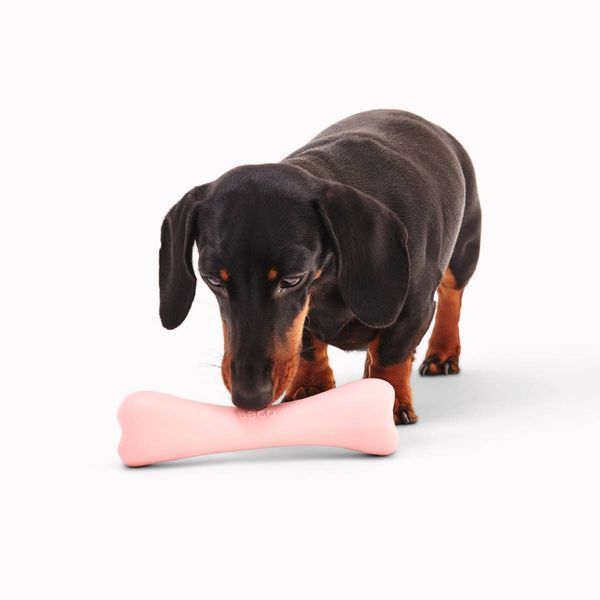 Жевательная игрушка с отверстием для вкусняшек для собак Beco Pets Treat Bone Розовый 31359 фото