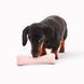 Жевательная игрушка с отверстием для вкусняшек для собак Beco Pets Treat Bone Розовый 31359 фото 4