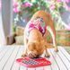 Лизательный коврик антистресс для собак LickiMat Slomo Pink, комбинированный с функцией слоуфидера 27761 фото 2