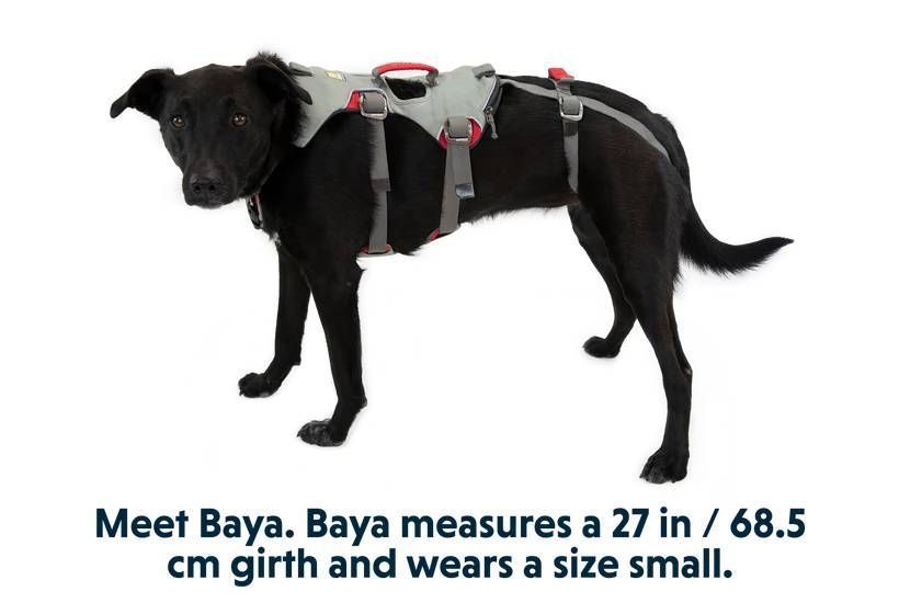 Шлейка для собак повышенной прочности Ruffwear Doubleback&trade; L/XL 81-107 см Серый 30740 фото