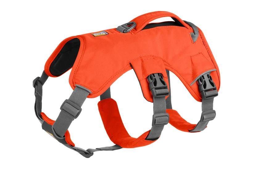Поддерживающая шлейка для служебных собак Ruffwear Web Master&trade; XXS 33-43 см Оранжевый 30862 фото