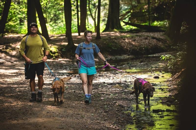Легка шлейка для собак Ruffwear Flagline&trade; XXS 33-43 см Малиновий 30741 фото
