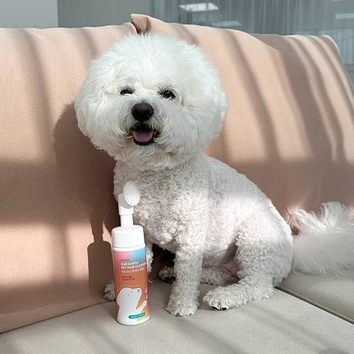 Веганская пенка для очищения лап собак Inoom Our Earth Pet Paw Cleanser 150 мл 32760 фото