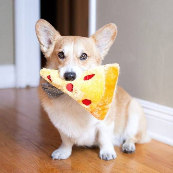 Мягкая игрушка для собак пицца ZippyPaws NomNomz Pizza с пищалкой 28475 фото