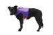 Рятувальний жилет для собак Ruffwear Float Coat&trade; Фіолетовий XXS 41933 фото 4