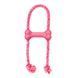 Іграшка для цуценят KONG Puppy Goodie Bone з мотузкою Рожевий XS 45446 фото 1