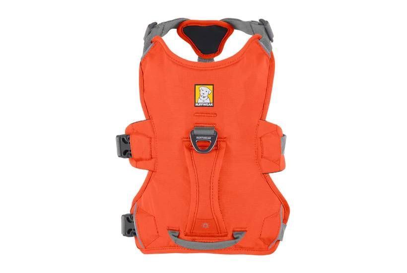 Підтримуюча шлейка для службових собак Ruffwear Web Master&trade; S 56-69 см Помаранчевий 30864 фото