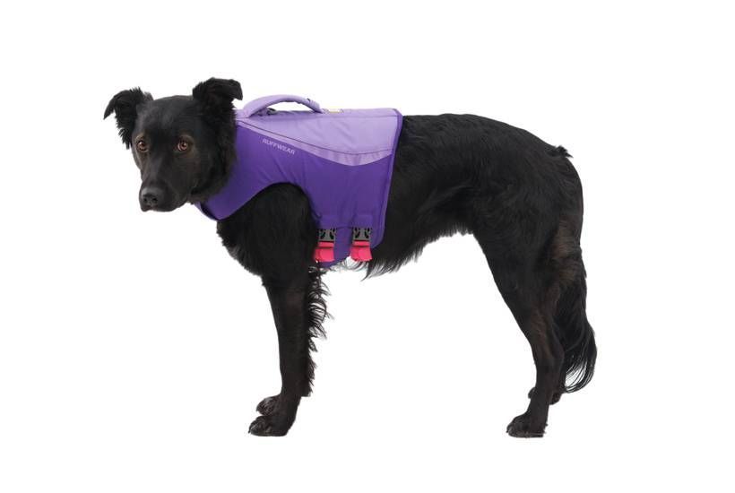 Рятувальний жилет для собак Ruffwear Float Coat&trade; Фіолетовий XXS 41933 фото