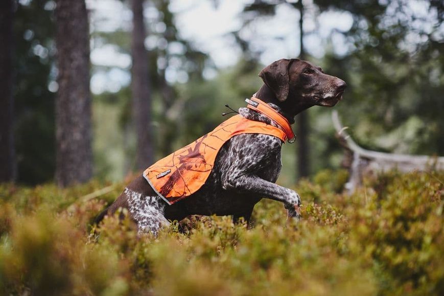 Камуфляжная накидка для собак Camo cover Non-stop dogwear Оранжевый/XS 40807 фото