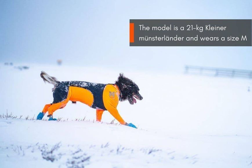 Комбинезон для собак мужского пола Protector snow Non-stop dogwear Черный/Оранжевый M 40868 фото