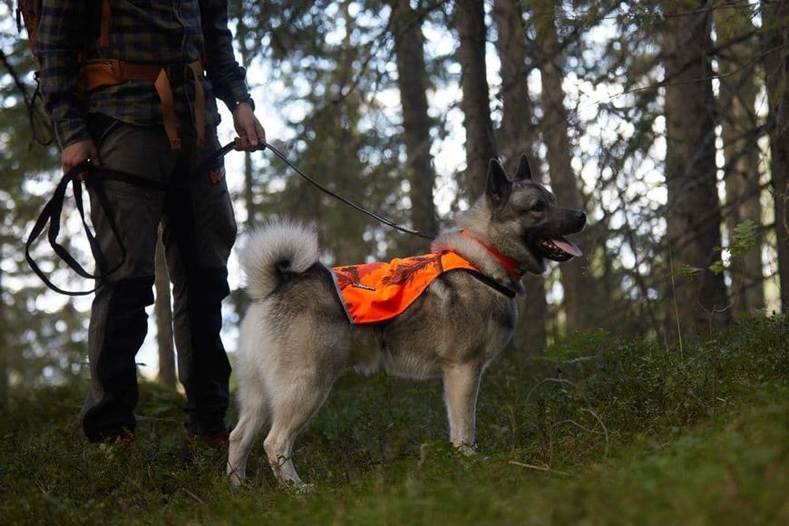 Камуфляжная накидка для собак Camo cover Non-stop dogwear Оранжевый/XS 40807 фото