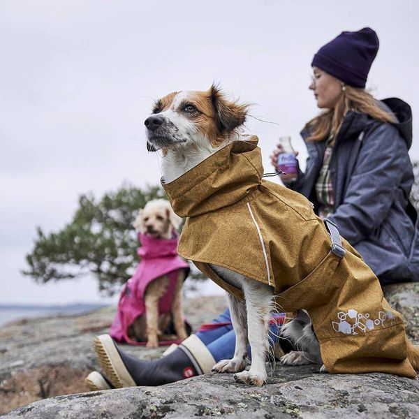 Дощовик для собак Hurtta Monsoon coat II ECO Бежевий 23 33318 фото