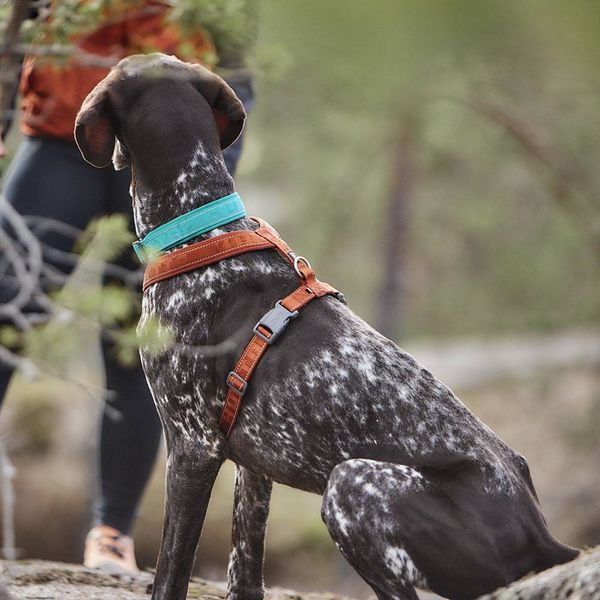 Анатомічна шлейка для собак Hurtta Casual Y-harness 45-55 Коричневий 31648 фото