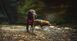 Легкая шлейка для собак Ruffwear Flagline&trade; S 56-69 см Малиновый 30743 фото 14