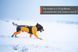 Комбинезон для собак мужского пола Protector snow Non-stop dogwear Черный/Оранжевый L 40869 фото 9
