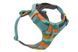 Повседневная шлейка для собак Ruffwear Front Range&reg; S 56-69 см Бирюзово-оранжевый 30803 фото 3