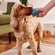 Игрушка с отверстием для вкусняшек для собак Beco Pets Boredom Buster Голубой 31362 фото 3