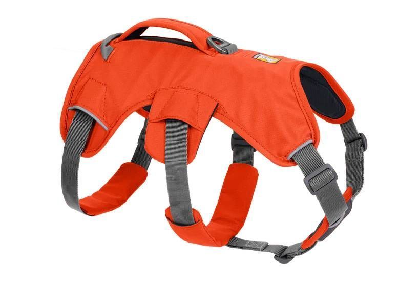 Підтримуюча шлейка для службових собак Ruffwear Web Master&trade; M 69-81 см Помаранчевий 30865 фото