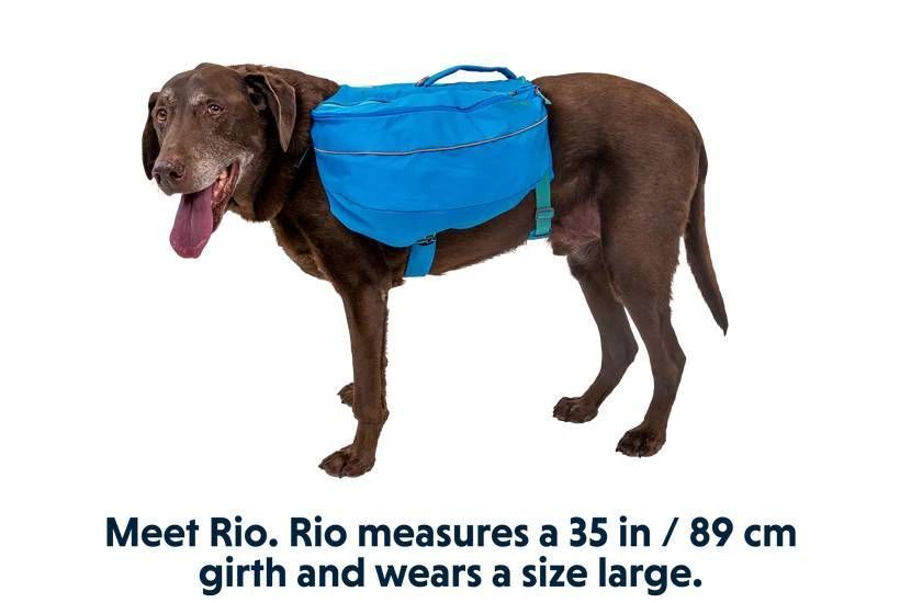Шлейка-рюкзак для собаки Ruffwear Approach&trade; XS Синий 30969 фото