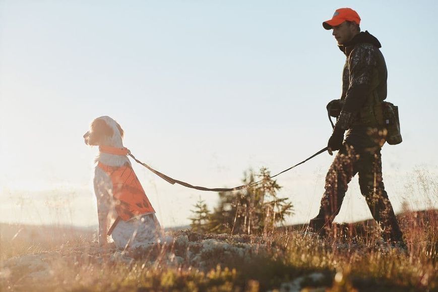 Камуфляжная накидка для собак Camo cover Non-stop dogwear Оранжевый/S 40808 фото
