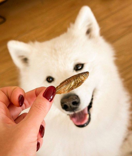 Натуральні сушені ласощі для собак Cooka's Cookies Gone Fishing 100% риба 90 г 40213 фото