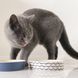 Бамбуковая миска для котов Beco Pets Синий 31325 фото 3