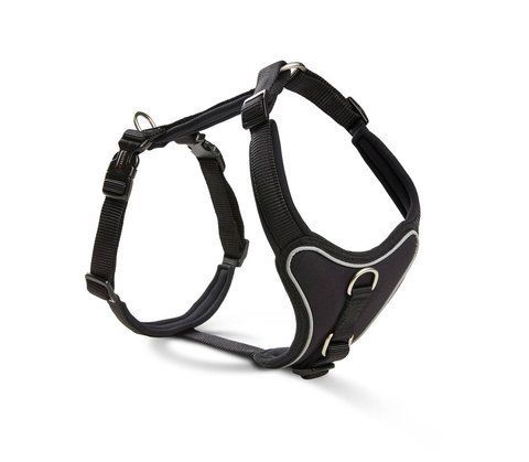 Шлейка для собак смягченная Wolters Professional Comfort 2 40-45 см / 25 мм Черный 28280 фото