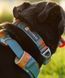 Повседневный ошейник для собак Ruffwear Front Range&trade; 28-36 см Оранжево-серый 30671 фото 5
