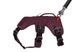 Підтримуюча шлейка для службових собак Ruffwear Web Master XXS 33-43 см Фіолетовий 30867 фото 4
