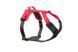 Шлея для собак Ramble harness Non-stop dogwear Черный/Розовый XS 40580 фото 1