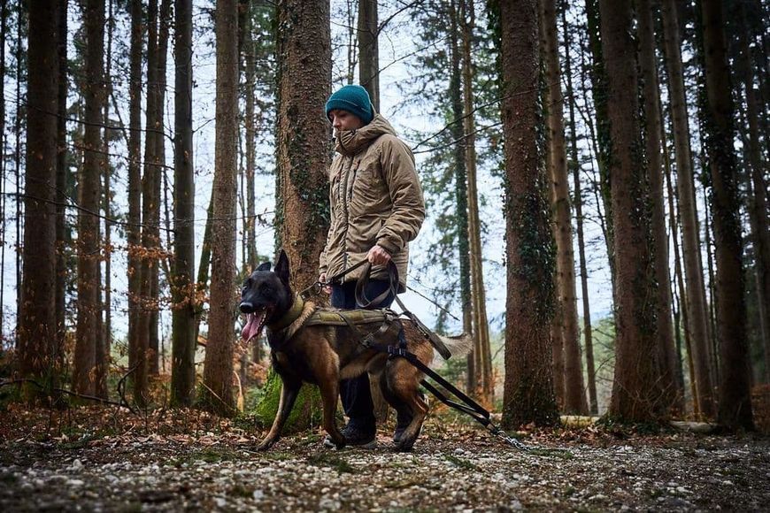 Шлея для собак Freemotion harness WD Non-stop dogwear Оливковый 4 40744 фото