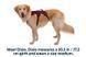Підтримуюча шлейка для службових собак Ruffwear Web Master&trade; XS 43-56 см Фіолетовий 30868 фото 7