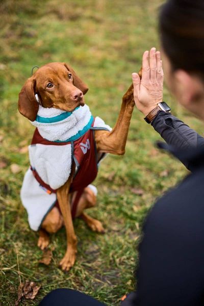 Флисовая куртка для собак Trekking fleece jacket Non-stop dogwear Серый/Винный/Бирюзовый 27 40812 фото