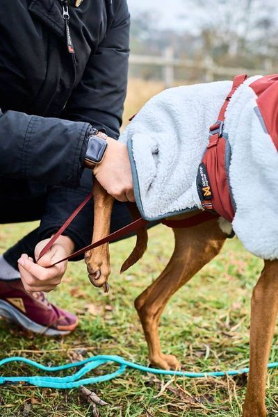 Флисовая куртка для собак Trekking fleece jacket Non-stop dogwear Серый/Винный/Бирюзовый 27 40812 фото