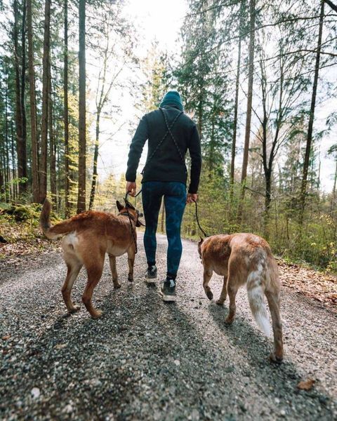 Регулируемый поводок для собак Rock adjustable leash Non-stop dogwear Черный 2,3 м 41420 фото